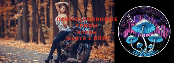 скорость Медвежьегорск