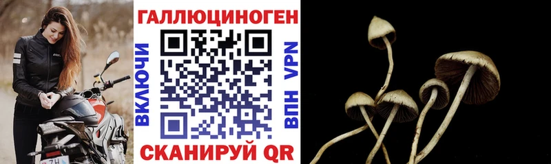 Галлюциногенные грибы GOLDEN TEACHER  Нерехта 
